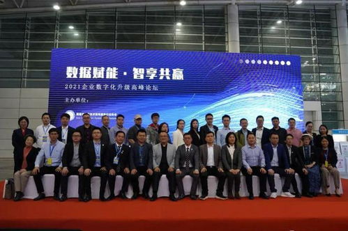 福建省信息技術咨詢服務行業(yè)協(xié)會會長陳維芳向全國人民拜新年