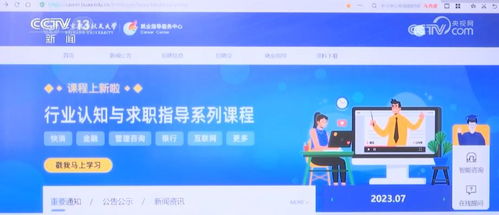 信息技術(shù)咨詢服務(wù) 智慧科技為就業(yè)服務(wù)賦能，實現(xiàn)“信息多跑路，學生少跑腿”